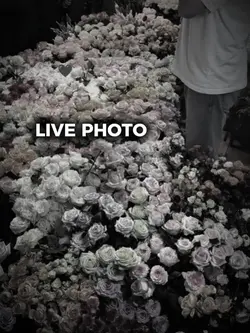 live photo