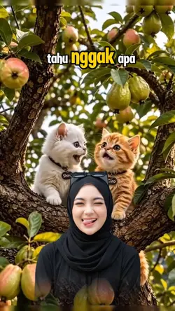 mamahku lagi diet