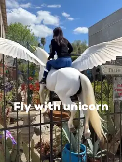 Fly with unicorn