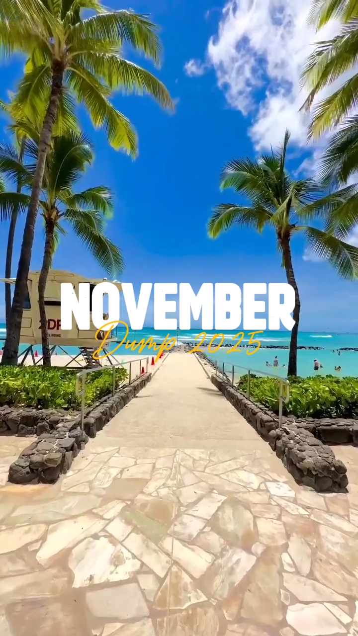 MOMENT NOVEMBER 225
