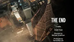 THE END