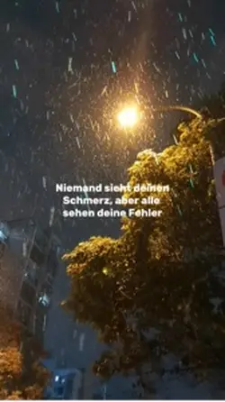 Zitate