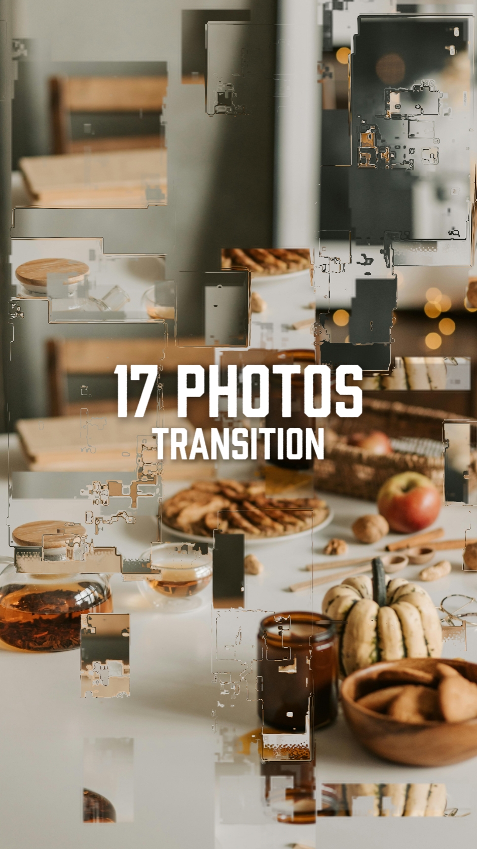 17 Fotos Transição