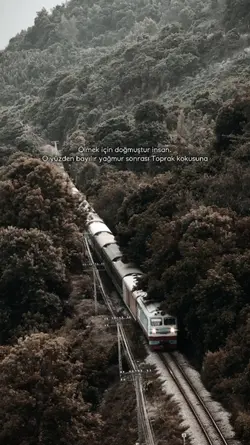 Siz ne düşünüyorsunz