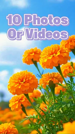 10 Video Slides