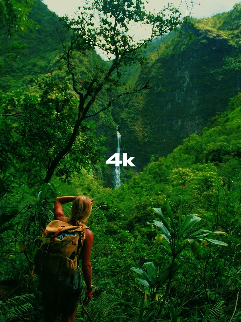 144P to 4K | trend