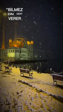 Bilmez idm dert vern