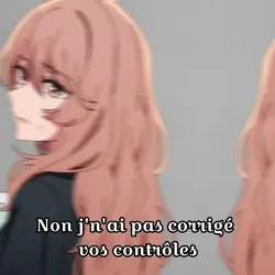 J'ai plusieurs profs