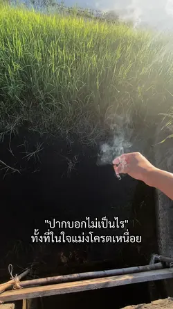 ปากบอกไม่เปนไร