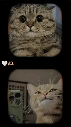 Cute