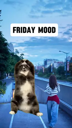 Friday Mood