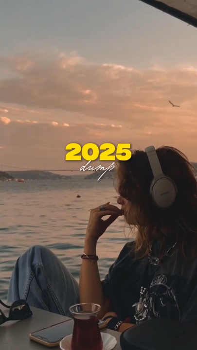 Volcado 2025