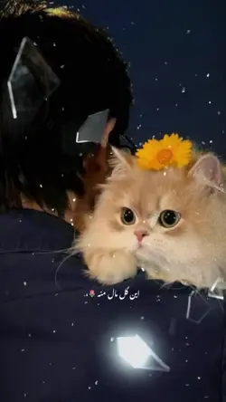 این گل مال منه 🥹♥️