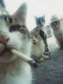 හක්කෙ බුදු රැස් !