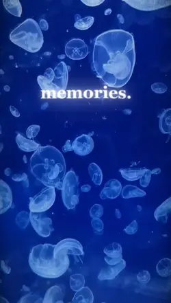 Memories 🎞️📸