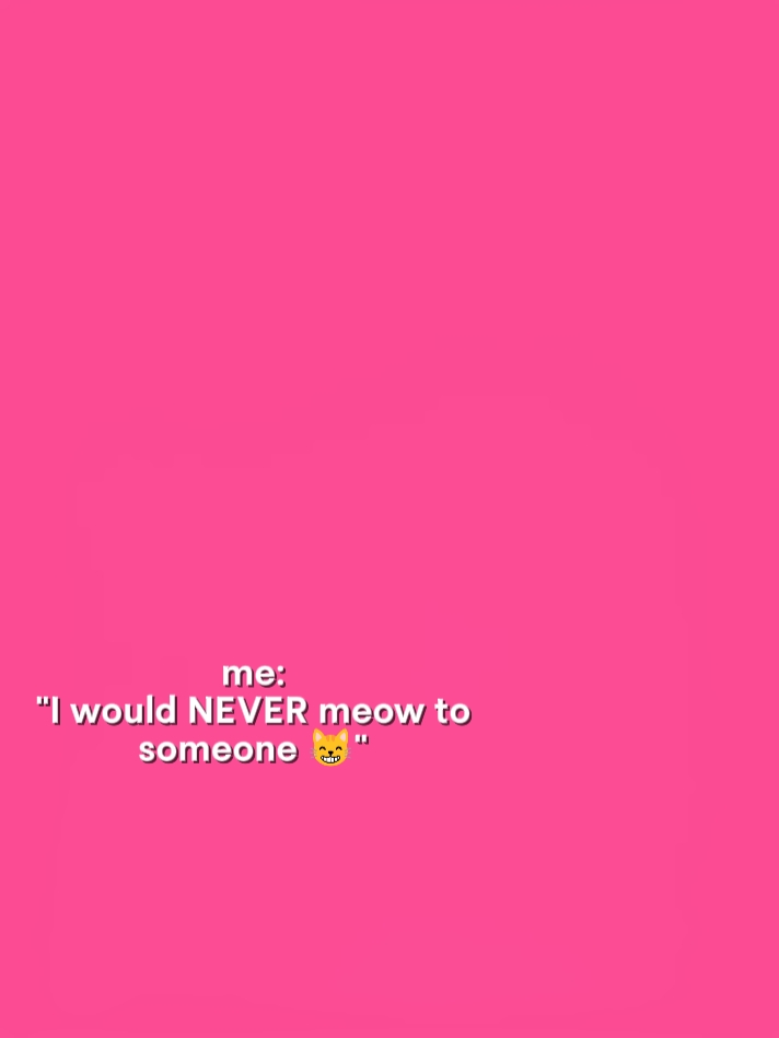 iwouldnevermeowto