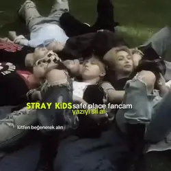 stray kidss