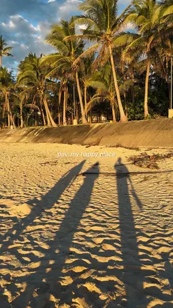 POV