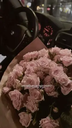 Anh biết ơn em thật