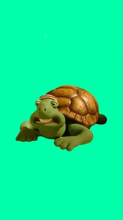 turtle meme