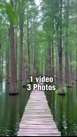 1 videos
3 foto