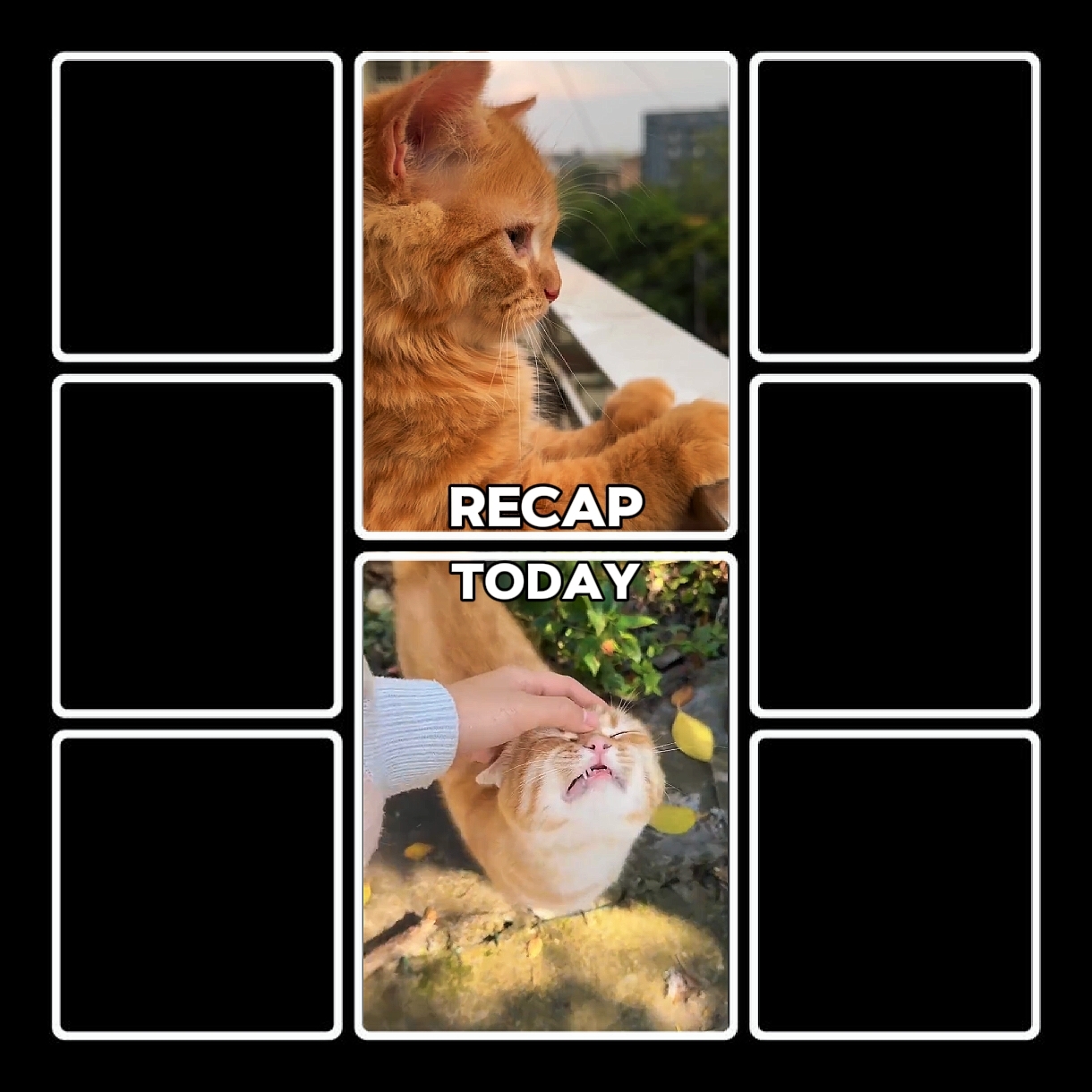 recap cat 