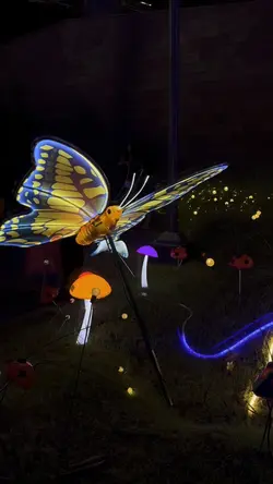 Light Festival 2024🥳