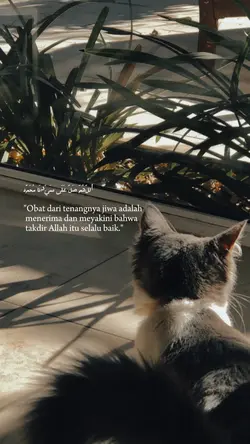 quote islami 