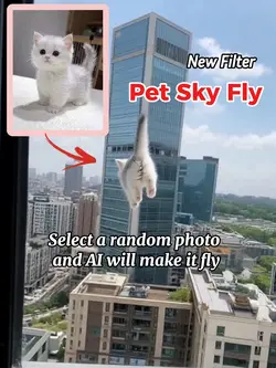 Pet sky fly