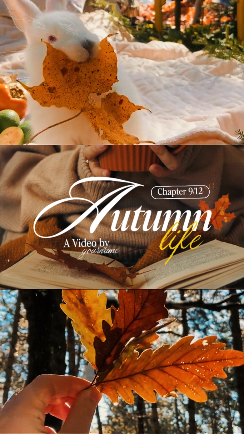 Autumn life 