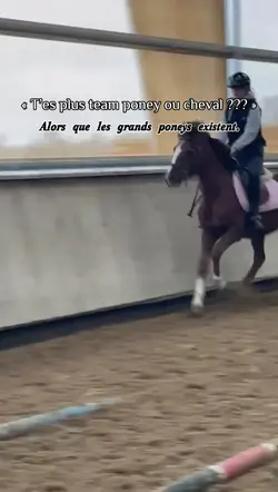 Les grands poneys