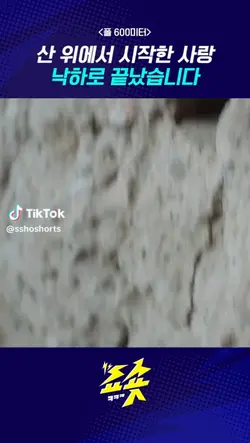 フォールあらすじ少し長い