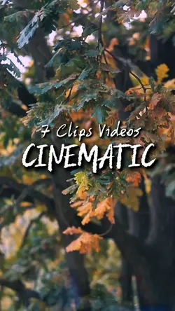 7videos clips 