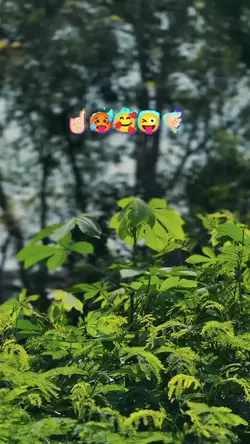 1 klip filter