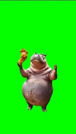 Chicken wings hippo