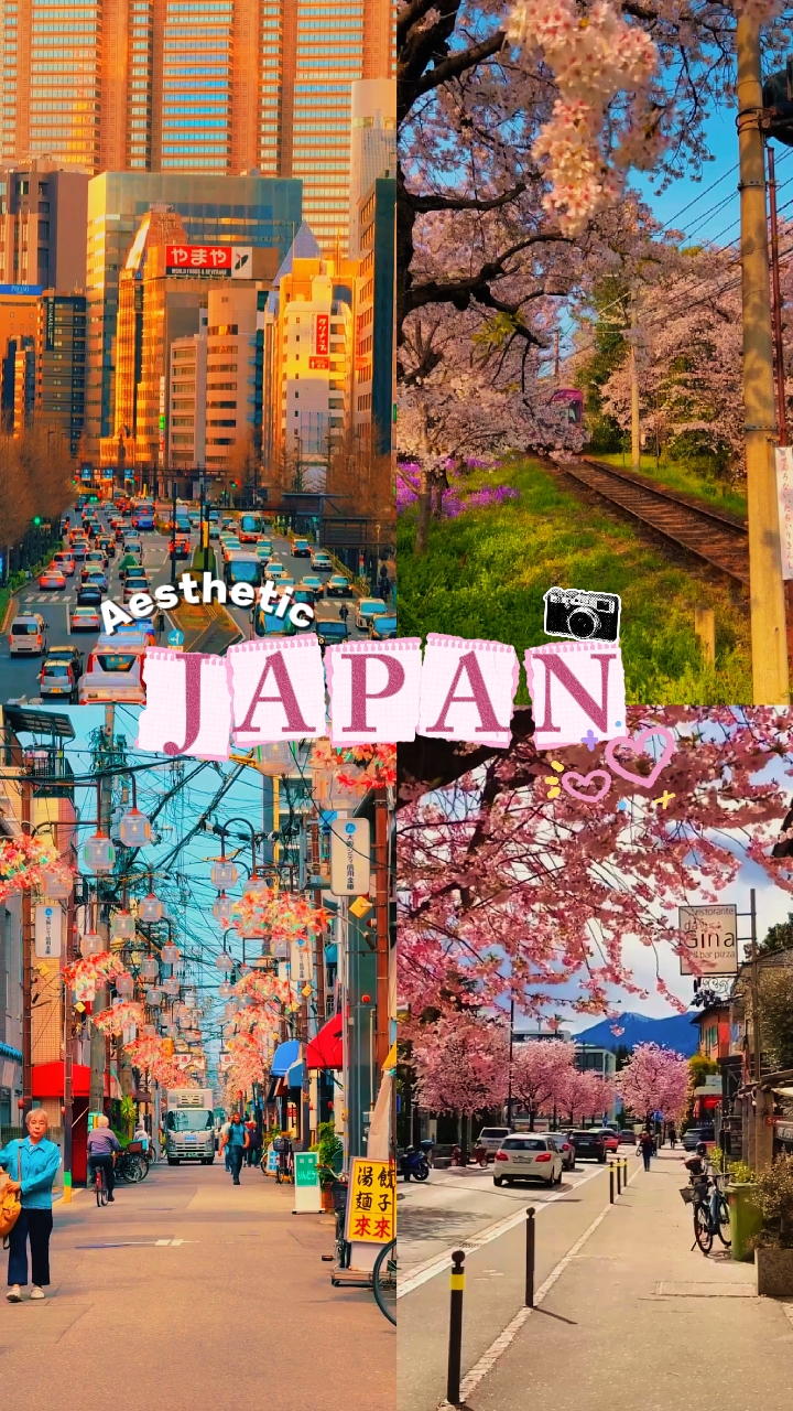 JAPAN VIBES