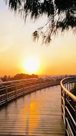 生活奮鬥勵志篇