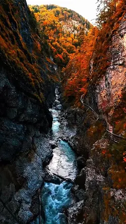 10 video or photo