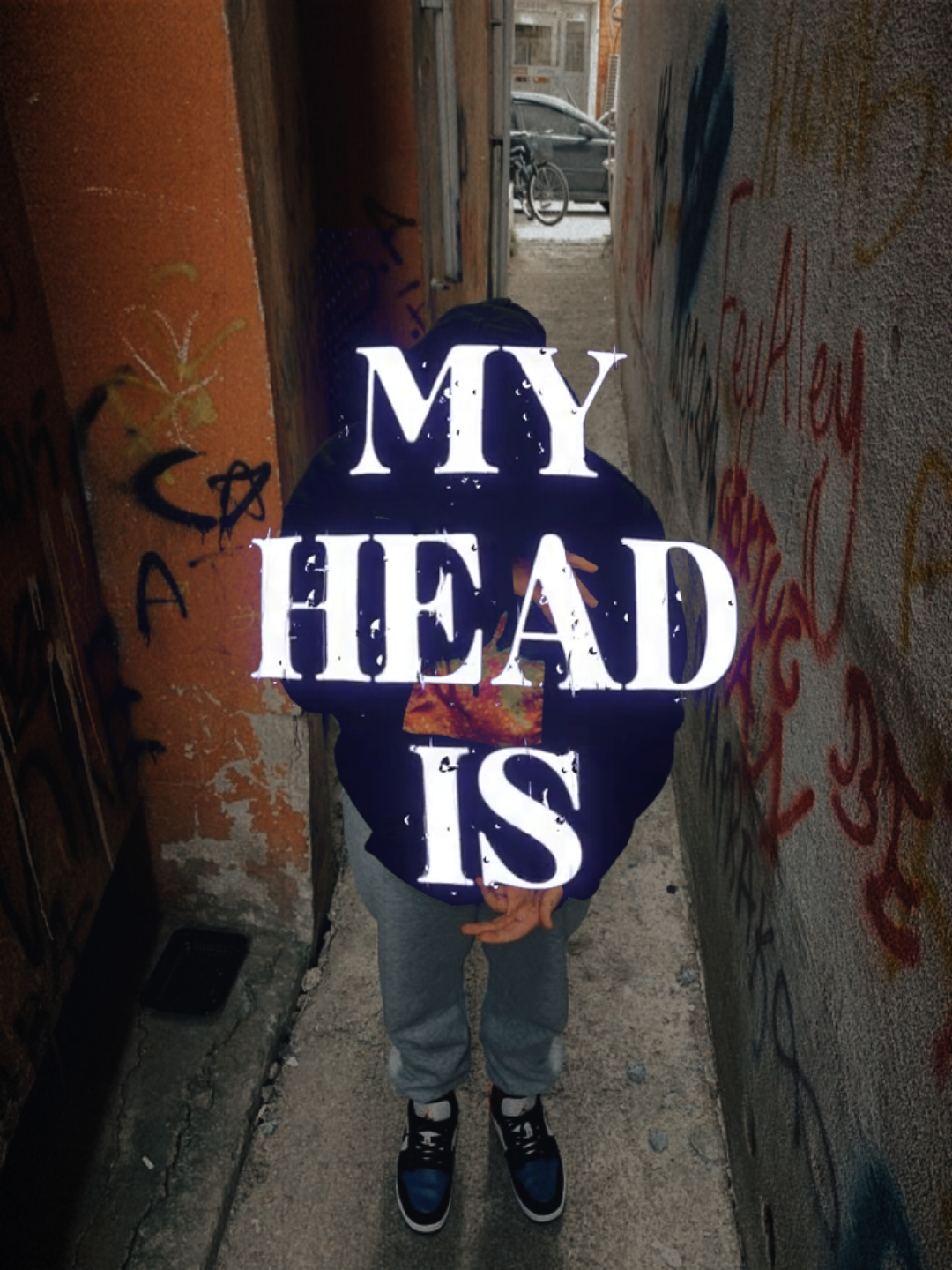 Cover Picture