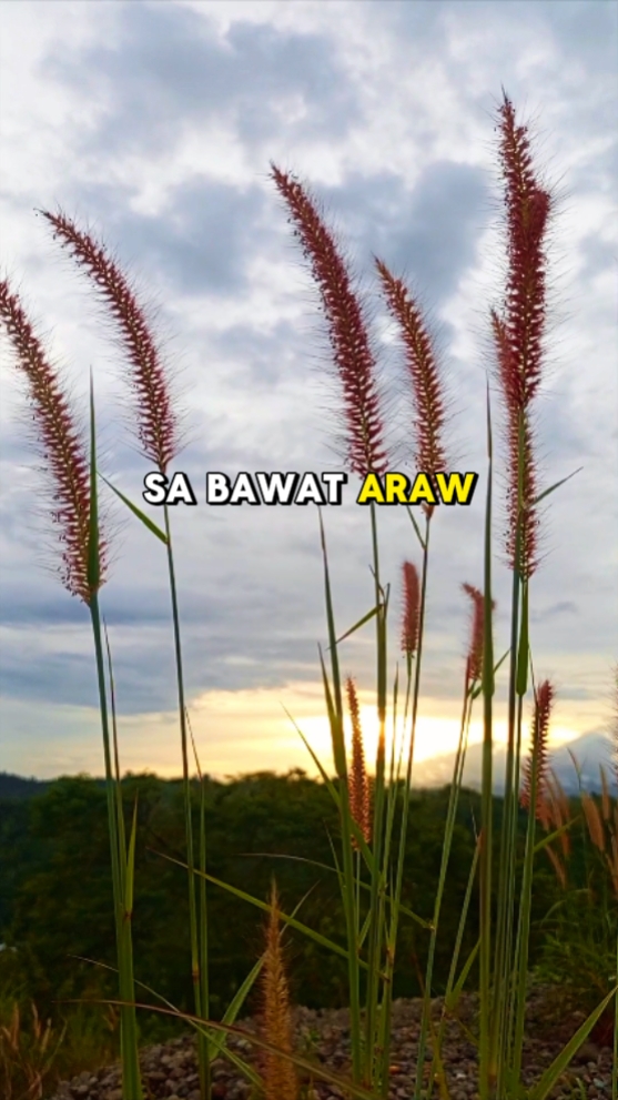 Piliin maging masaya
