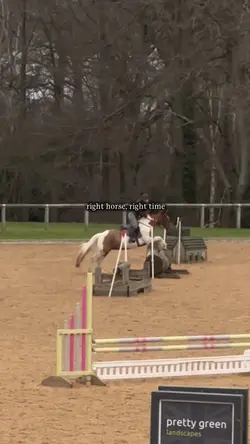 right horse righ