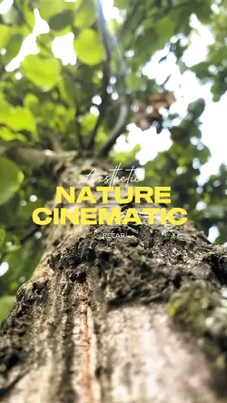 Nature cinematic 