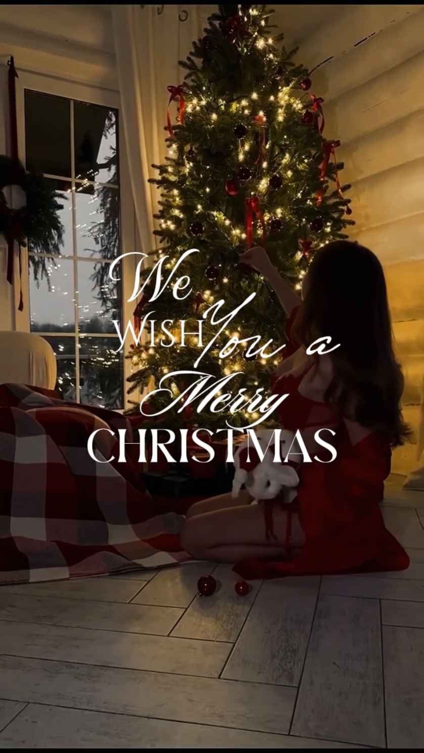 Frohe Weihnachten und 
