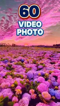 60 video or photo
