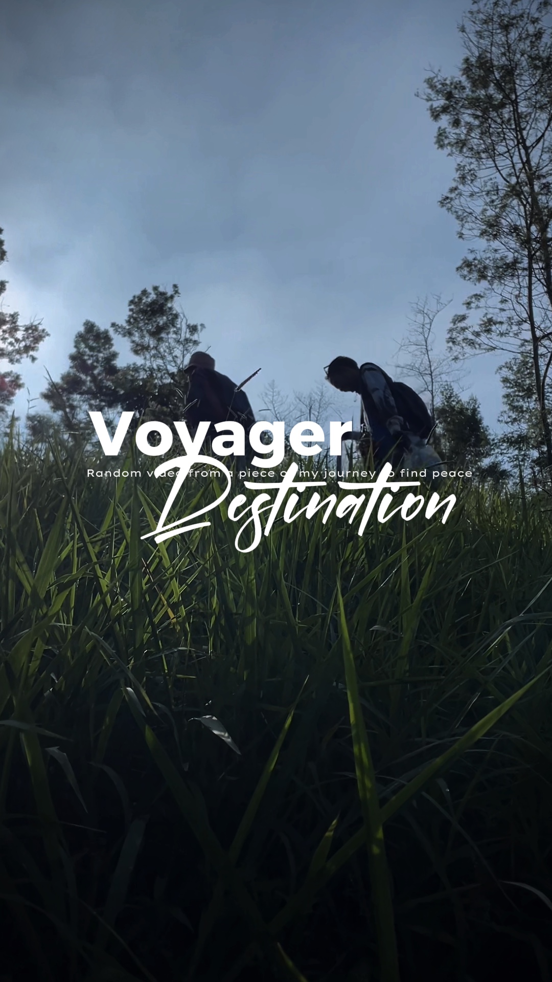 Voyager destination