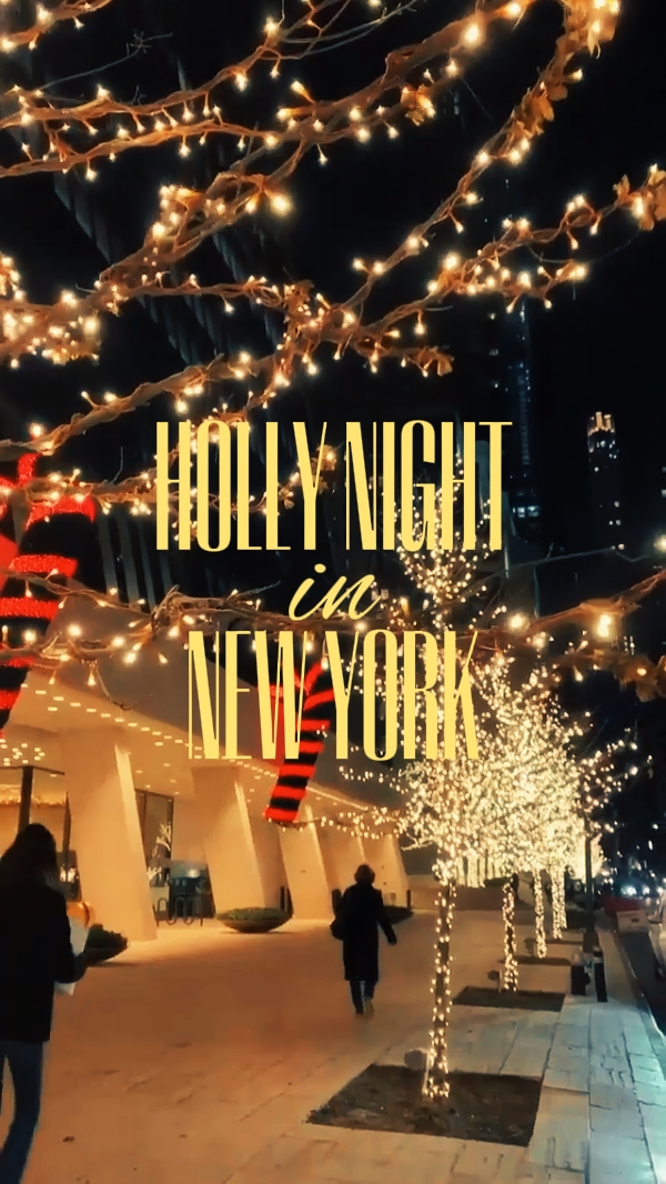 뉴욕의 홀리 나이트