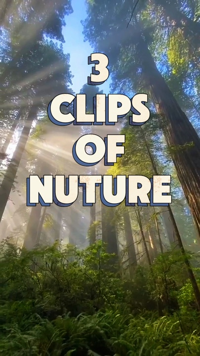 3 Clips Mini-Vlog 