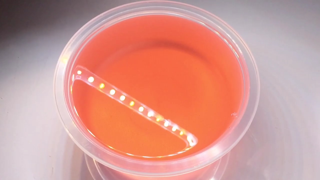 눈 감고 고른 @@@ / 병맛주의