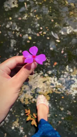 Slowmotion video 🌸