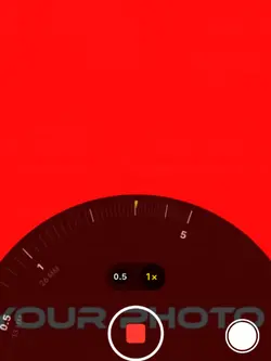 Viral trend template